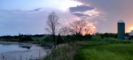 Evening sky at sunset over a pond surrounded by flora and fauna and an old farm silo in the background
