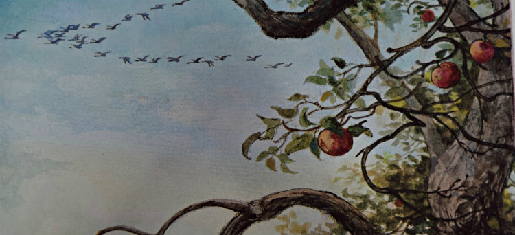 painting of birds flying south, tree branch with lone red apple in foreground, grey sky
